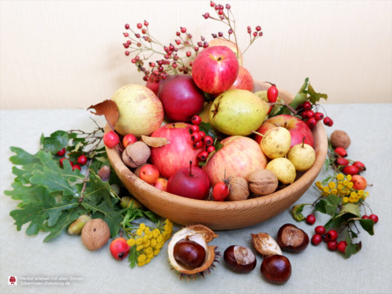Herbst erleben bei einem Spaziergang durch die Wiese mit Obst lesen