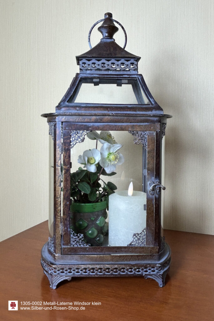 Die Laterne Windsor ist ein universales Deko-Accessoire. Mit Christrosen und Lenzrosen und LED-Kerze kommt sie besonders gut zur Geltung.