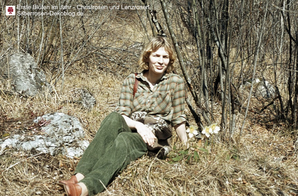 Das Bild zeigt eine Frau sitzend an einem bewachsenen Hang, neben ihr blühen wilde weiße Christrosen